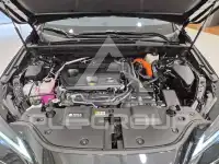 2025 Lexus NX