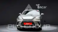 2025 Lexus NX