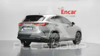 2025 Lexus NX