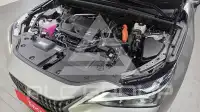 2025 Lexus NX