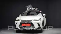 2025 Lexus NX
