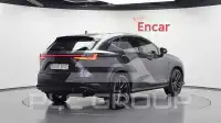 2025 Lexus NX