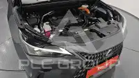 2025 Lexus NX