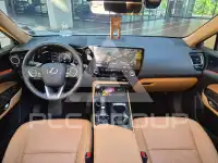 2025 Lexus NX