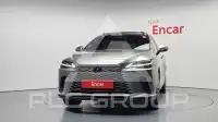 2025 Lexus RX