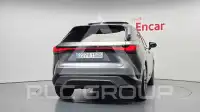 2025 Lexus RX