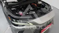 2025 Lexus RX