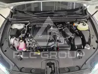 2025 Lexus RX
