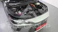 2025 Lexus RX