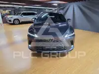 2025 Lexus RX