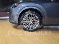 2025 Lexus RX