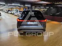 2025 Lexus RX