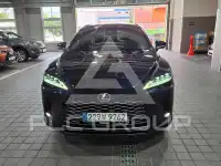 2025 Lexus RX