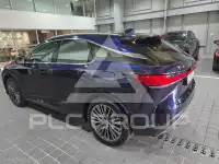 2025 Lexus RX