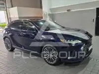 2025 Lexus RX