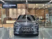 2025 Lexus RX