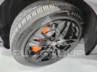 2025 Lexus RX