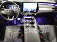 2025 Lexus RX
