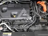 2025 Lexus RX