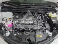 2025 Toyota Sienna
