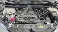 2025 Toyota Sienna