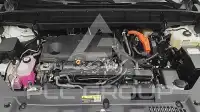 2025 Toyota Highlander