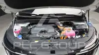 2025 KIA Carnival