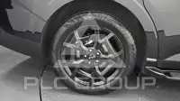 2025 KIA Carnival