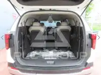 2025 KIA Carnival