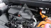 2025 KIA Carnival