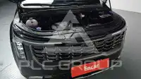 2025 KIA Carnival