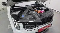 2025 KIA Carnival