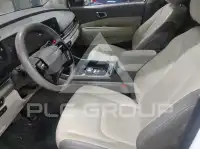 2025 KIA Carnival
