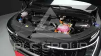 2025 KIA Carnival