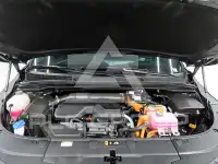 2025 KIA Carnival