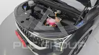 2025 KIA Carnival