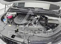 2025 KIA Carnival