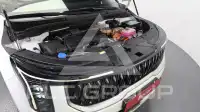 2025 KIA Carnival