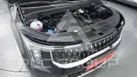 2025 KIA Carnival