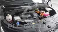 2025 KIA Carnival