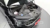 2025 KIA Carnival