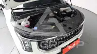 2025 KIA Carnival