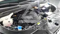 2025 KIA Carnival