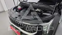 2025 KIA Carnival