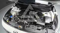 2025 KIA Celltos