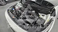 2025 KIA Celltos