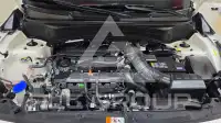2025 KIA Celltos