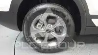 2025 KIA Celltos
