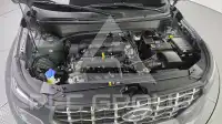 2025 Hyundai Venue
