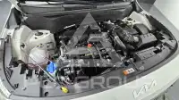 2025 KIA Celltos